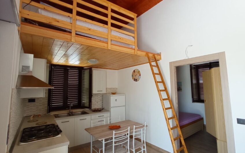 Papa’s House