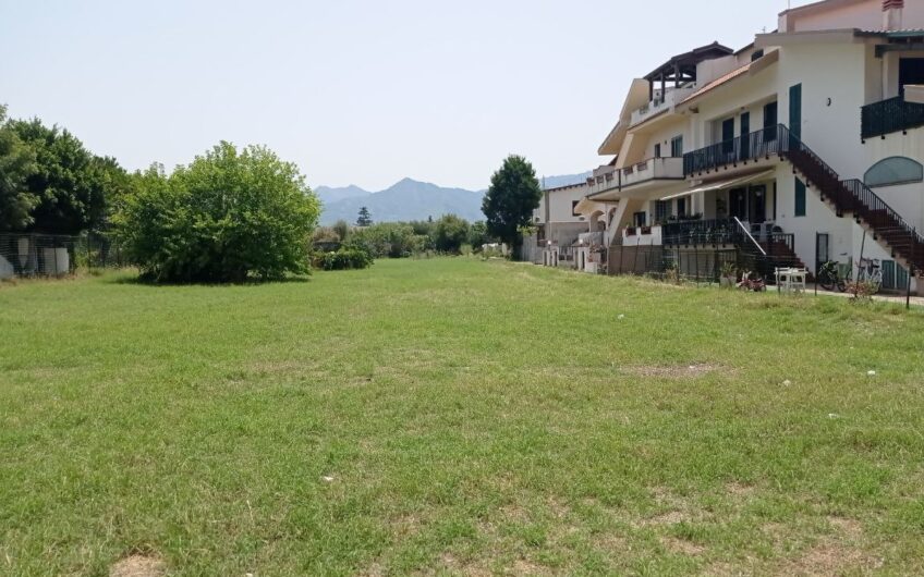 Papa’s House